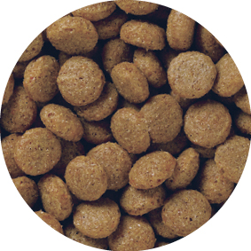【無着色】この製品は、ペットフード公正取引協議会の定める分析試験の結果、「総合栄養食／成犬期用」の基準を満たすことが証明されています。

