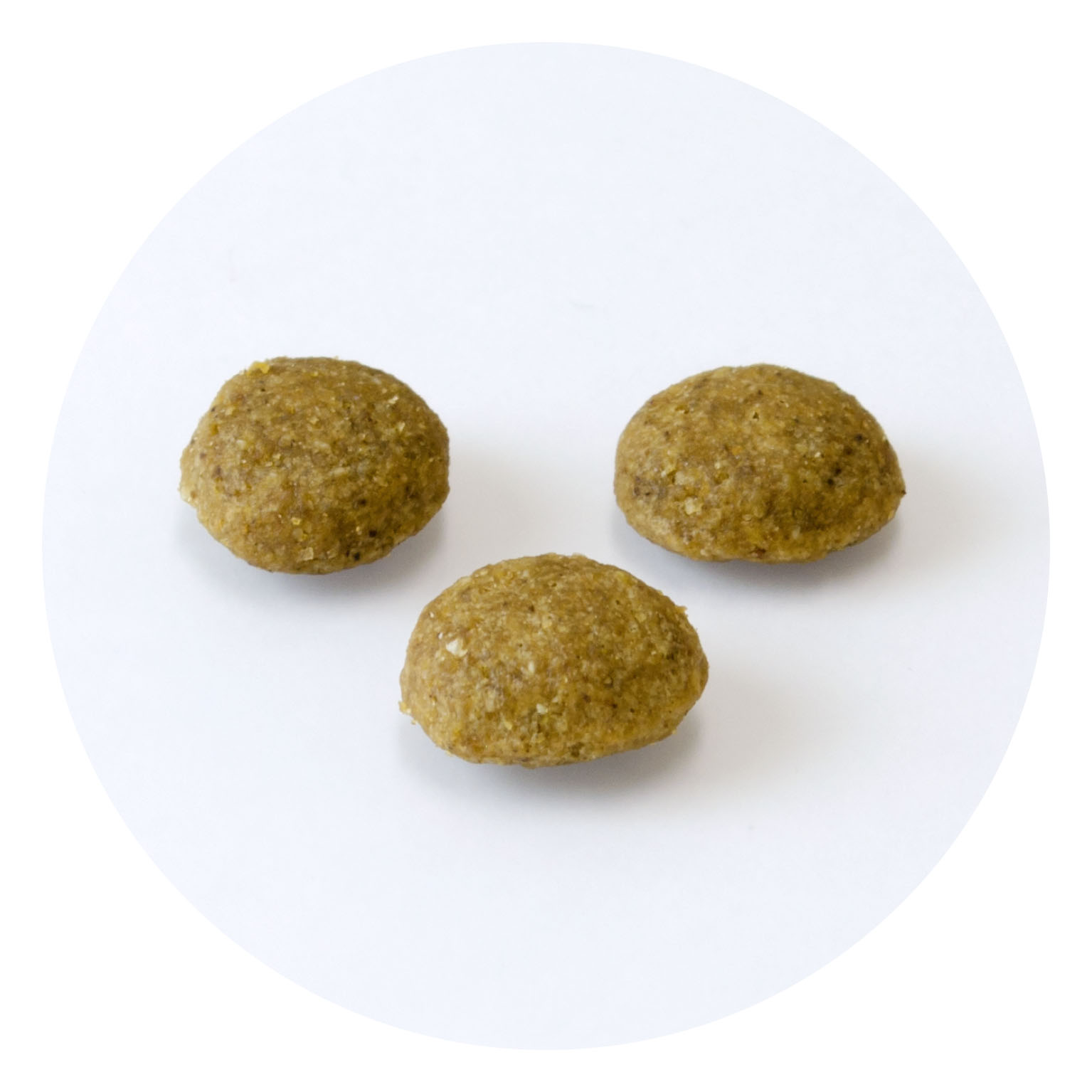 ドッグフード ドクターズダイエット 犬用パピー ドッグフード キャットフード ペットフードのペットライン