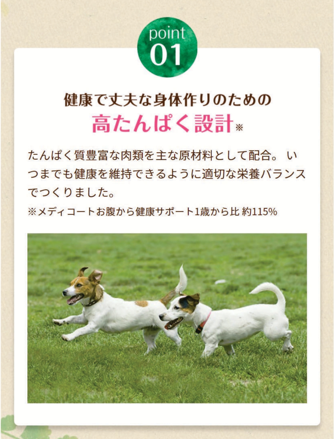 おすすめポイント1