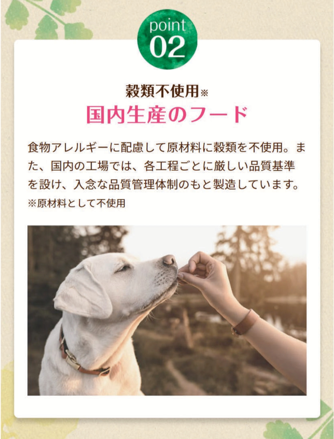 おすすめポイント2