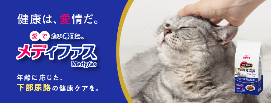Medyfas メディファス 愛猫のために、下部尿路の健康ケア。
